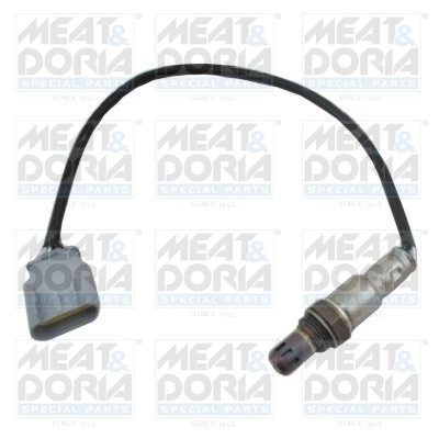 Oxygen Sensor